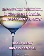 t-beer-wine-cognac-power.webp