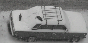 tumblr_inline_p4m415AgcC1vu5qzt_500.gif