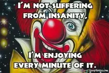 t-not-suffering-from-insanity.webp