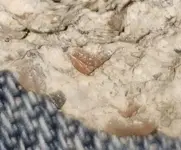 20180424_000748.webp