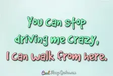 t-stop-driving-me-crazy.webp
