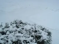 snow 001.webp