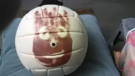 wilson.webp