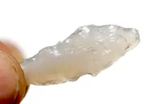 7U2A4122.webp