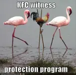 f9.webp