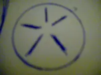 006.webp