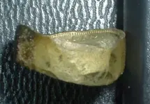 DSCF0001(1).webp
