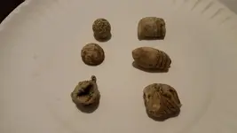 20180610_203422.webp