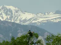 bike 052118 5.webp