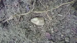 20180610_142702.webp