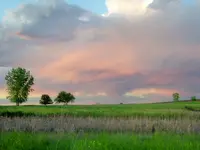 walk 052418 3.webp