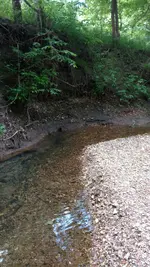 IMG_20180518_130144044.webp