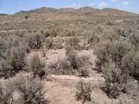 S5303038.webp