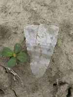 Dirt shot.webp