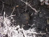 DSCN5051.webp