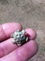 ImageUploadedByTreasureNet.com1524581686.212506.webp ImageUploadedByTreasureNet.com1524581686.212506.webp