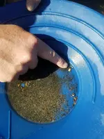 First Picker.webp
