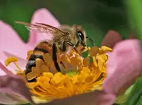 006777.webp