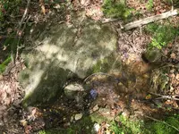 IMG_0806 (1).webp IMG_0806 (1).webp