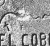 BW Horse E.webp