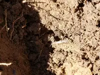 20180424_115455.webp 20180424_115455.webp