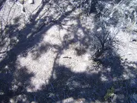 S5303078.webp