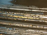 DSCF0006.webp