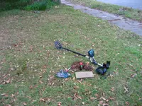 IMG_2116.webp