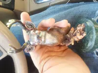 20180518_170502.webp