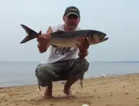 my-fish-2018-1.webp my-fish-2018-1.webp