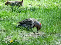 K1600_025.webp
