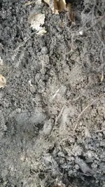 IMG_20180525_094013478.webp