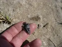 P1120449.webp