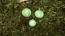 IMG_20180525_112607070.webp