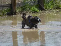 walk 050318 3.webp