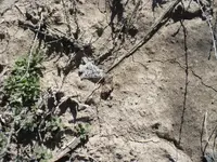 P1120450.webp