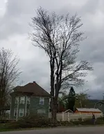 20180510_111051.webp