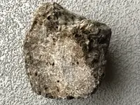 ImageUploadedByTreasureNet.com1526693500.121165.webp