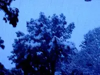 atlanta snow2.webp