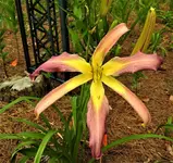 DSCN1233.webp