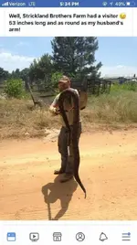 FB_IMG_1526719663649.webp FB_IMG_1526719663649.webp