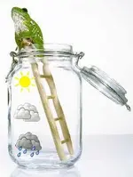 Weather app.webp