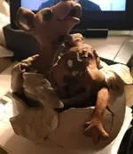 FullSizeRender.webp