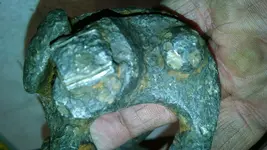 IMG_20180424_200356.webp