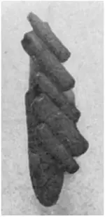 fisher mound g.webp