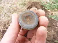 DSCF3346.webp