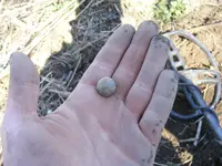 DSCF3398.webp