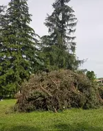 20180526_095906.webp