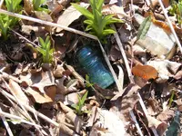 DSCF3511.webp