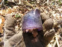 DSCF3512.webp